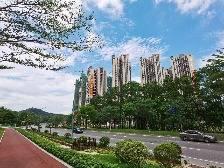 青春云浮 三十而励·部门风采丨云浮市自然资源局:擘画资源经济云浮宏图