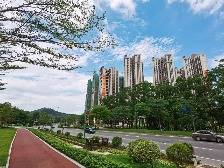 青春云浮 三十而励·部门风采丨云浮市教育局:立德树人育栋梁 培桃育李续华章