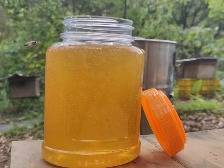 聚焦“百千万工程”丨新兴县河头镇:四月山花酿蜜时 新兴春蜜抢鲜上市