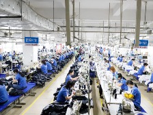 RCEP生效以来云浮市逾6500万元出口货物享惠