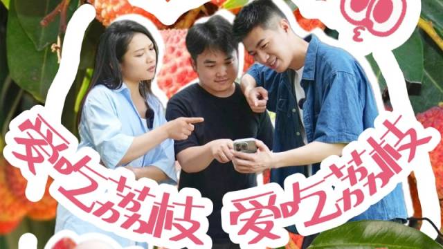 云趣说2025丨云浮给“荔”!来云浮,荔枝落实到胃!