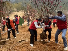 云城区妇联扎实推进“三清三拆三整治” 攻坚行动