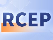 专家：RCEP成员国新能源汽车产业合作驶入共赢快车道