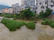云浮市民生热线丨云城区河口街这河道杂草丛生 成为排洪隐患 相关部门：立即治理