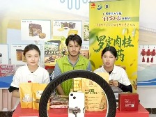 中外学子为罗定肉桂助力 双语推动南药声名远扬