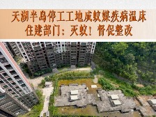 云浮市民生热线丨天湖半岛停工工地成蚊媒疾病温床 住建部门：灭蚊！督促整改