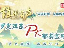 郁南县宝珠镇:镇镇有声“云浮好物”全媒体直播PK赛