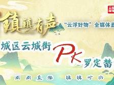 罗定市榃滨镇:镇镇有声“云浮好物”全媒体直播PK赛
