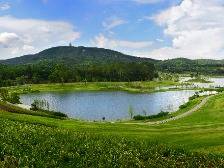 为“百千万工程” 注入金融动力!郁南县探索以市场化发债助推县域经济发展新路径