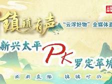 罗定市苹塘镇:镇镇有声“云浮好物”全媒体直播PK赛