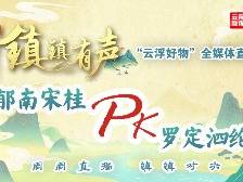 罗定市泗纶镇:镇镇有声“云浮好物”全媒体直播PK赛