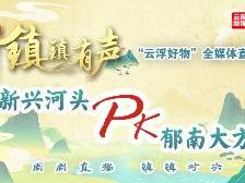 郁南县大方镇:镇镇有声“云浮好物”全媒体直播PK赛