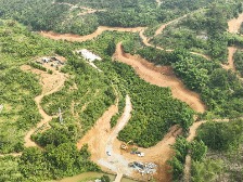 镇能量丨罗定市泗纶镇梅花鹿产业园正式动工建设