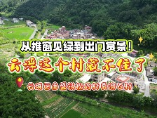 从推窗见绿到出门赏景！云浮这个村藏不住了