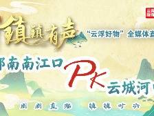 郁南县南江口镇:镇镇有声“云浮好物”全媒体直播PK赛