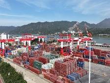 “向上突围”丨云浮国际物流港实现吞吐量与营业收入双增长