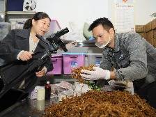 智库观察丨云安,“网红经济”赋能“百千万工程”