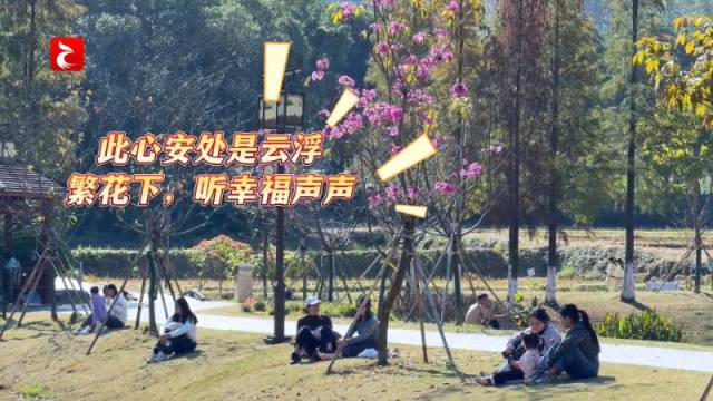 视频丨此心安处是云浮 ，繁花下，听幸福声声