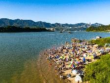 南方观察 | 小块头云浮 迸发大能量