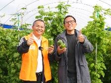 智库观察 | 云安的“田医生”,建了一百多个群