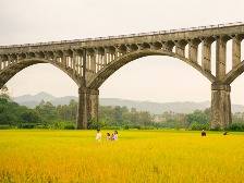 云趣说2026｜在云浮，嘉“禾”盼望“岗”，望“岗”生嘉“禾”