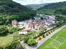 智库观察 | 从“全局成色”要求看推动“乡村焕新”