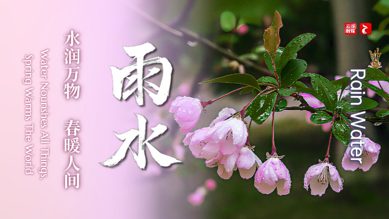 雨水丨水润万物，春暖人间