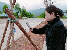 云浮市乡村绿化“树管家”正式上线“云浮通”App