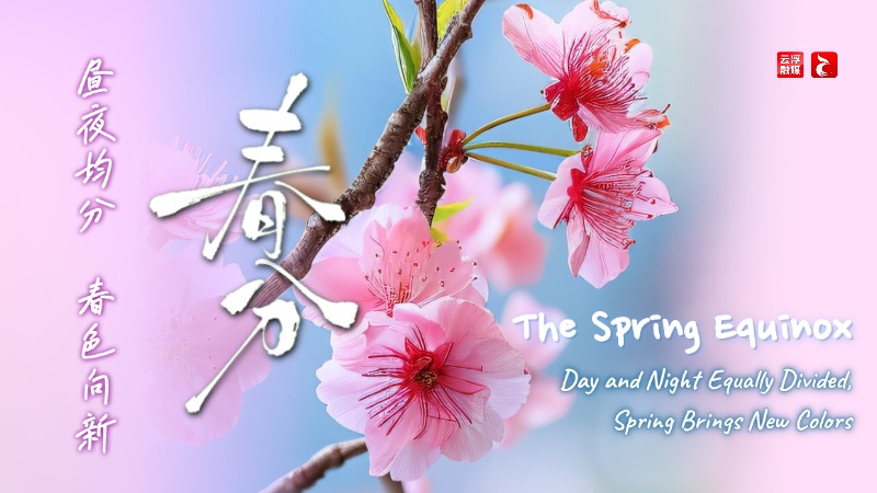 春分 | 昼夜均分，春色向新