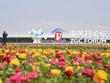 业内人士称中企布局东盟进入“生态共建”阶段