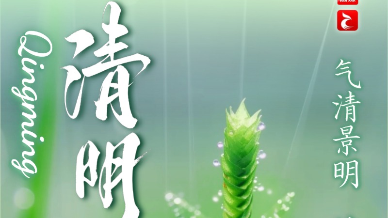 清明 | 气清景明，慎终追远