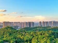 树立和践行正确政绩观学习教育云浮市委督导组培训会议召开