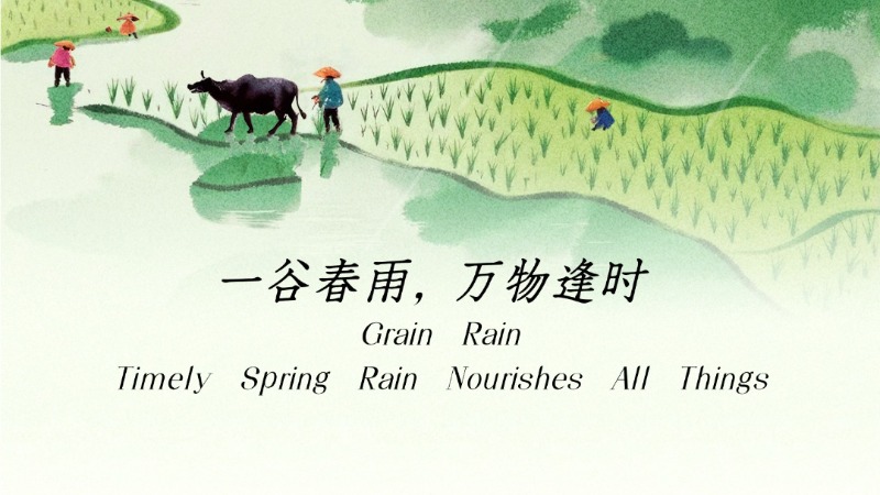 谷雨 | 一谷春雨，万物逢时