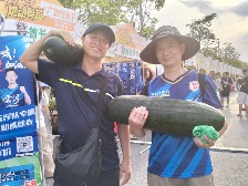 太香了！看粤超，免费领都杨大冬瓜