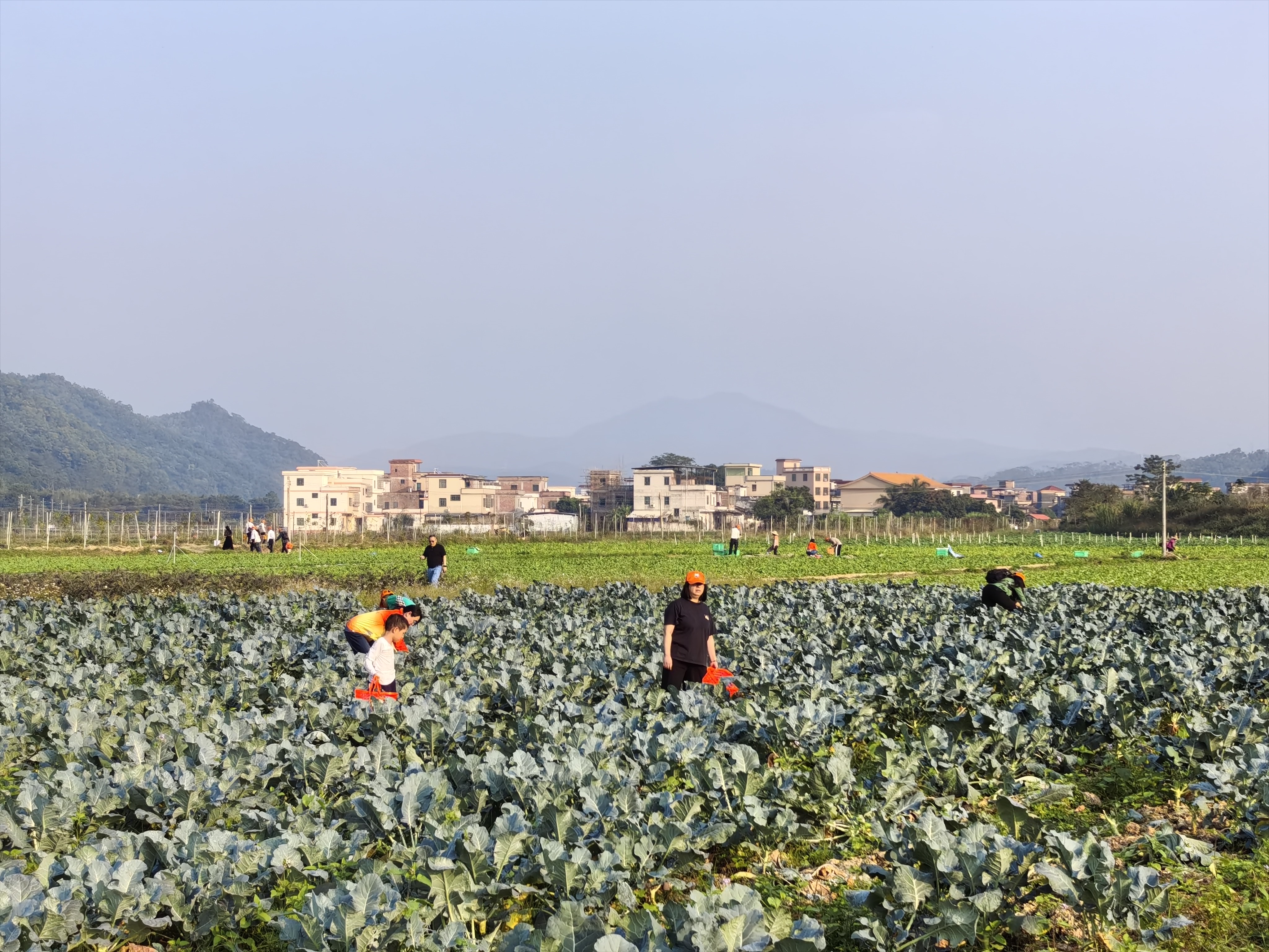 农旅融合